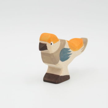 Buchfink