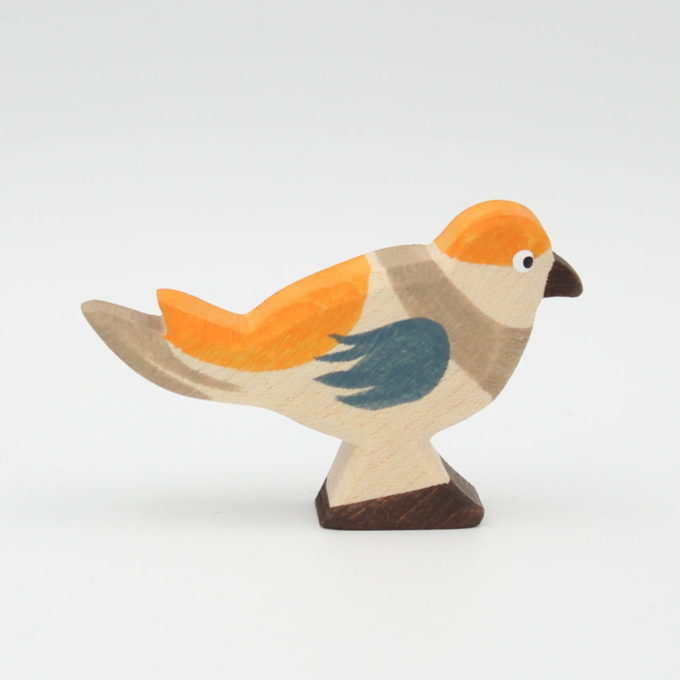 Buchfink – Bild 2