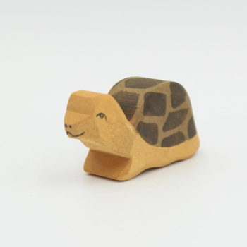 Schildkröte