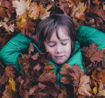 Quelle: Annie Spratt auf Unsplash Unsplash