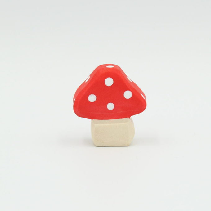 Fliegenpilz – Bild 2