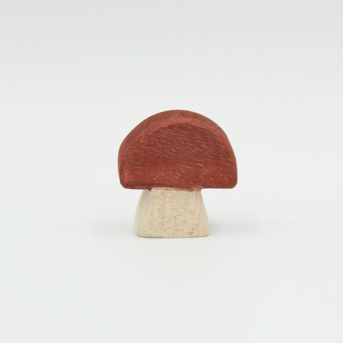 Steinpilz – Bild 2