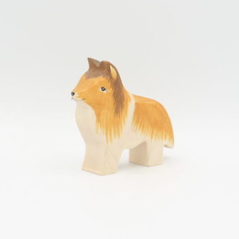 Collie (Hund)