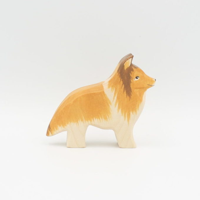 Collie (Hund) – Bild 2