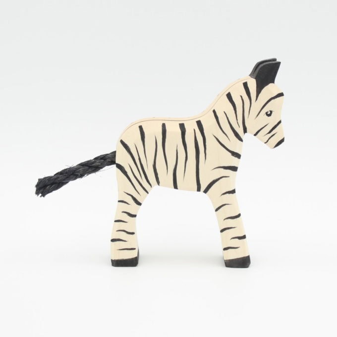 Zebrafohlen – Bild 2