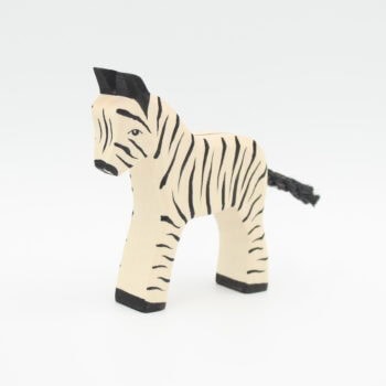 Zebrafohlen